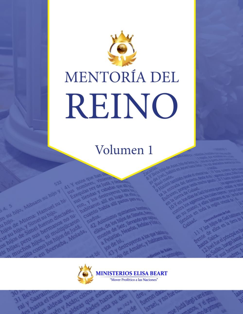 MENTORÍA DEL REINO: Taller de mentoría (Spanish Edition)